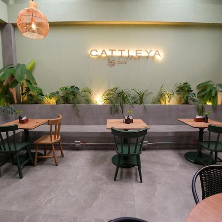 ميديلين Apartamentos Housy Laureles المظهر الخارجي الصورة